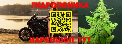 таблы Кингисепп