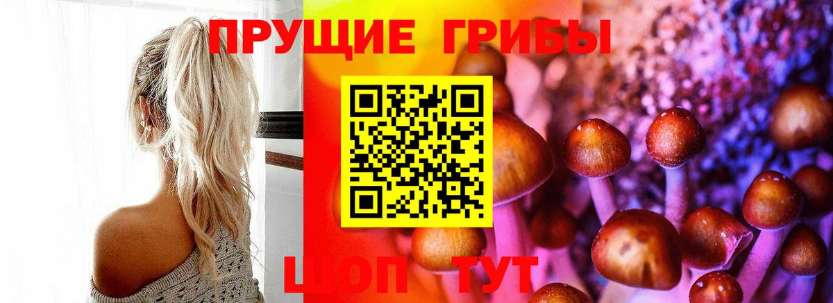 Галлюциногенные грибы Magic Shrooms  Галлюциногенные грибы GOLDEN TEACHER  Южноуральск  Вход с VPN 